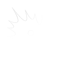 Spikefin Logo - A legacy of innovative solutions